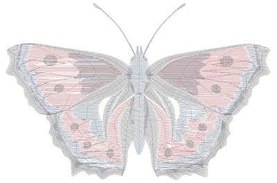 The digitized vector image