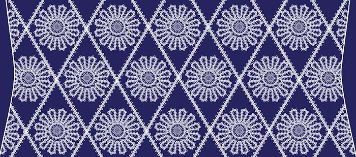 The magnified fragment of the lace design 1